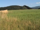 Zem�d�lsk� pozemek o velikosti  22 393 m2 v obci Pr�no.